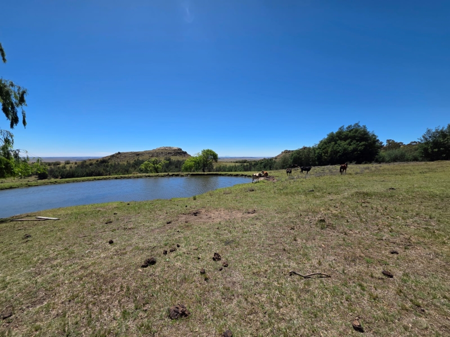 8 Bedroom Property for Sale in Bethlehem Rural Free State